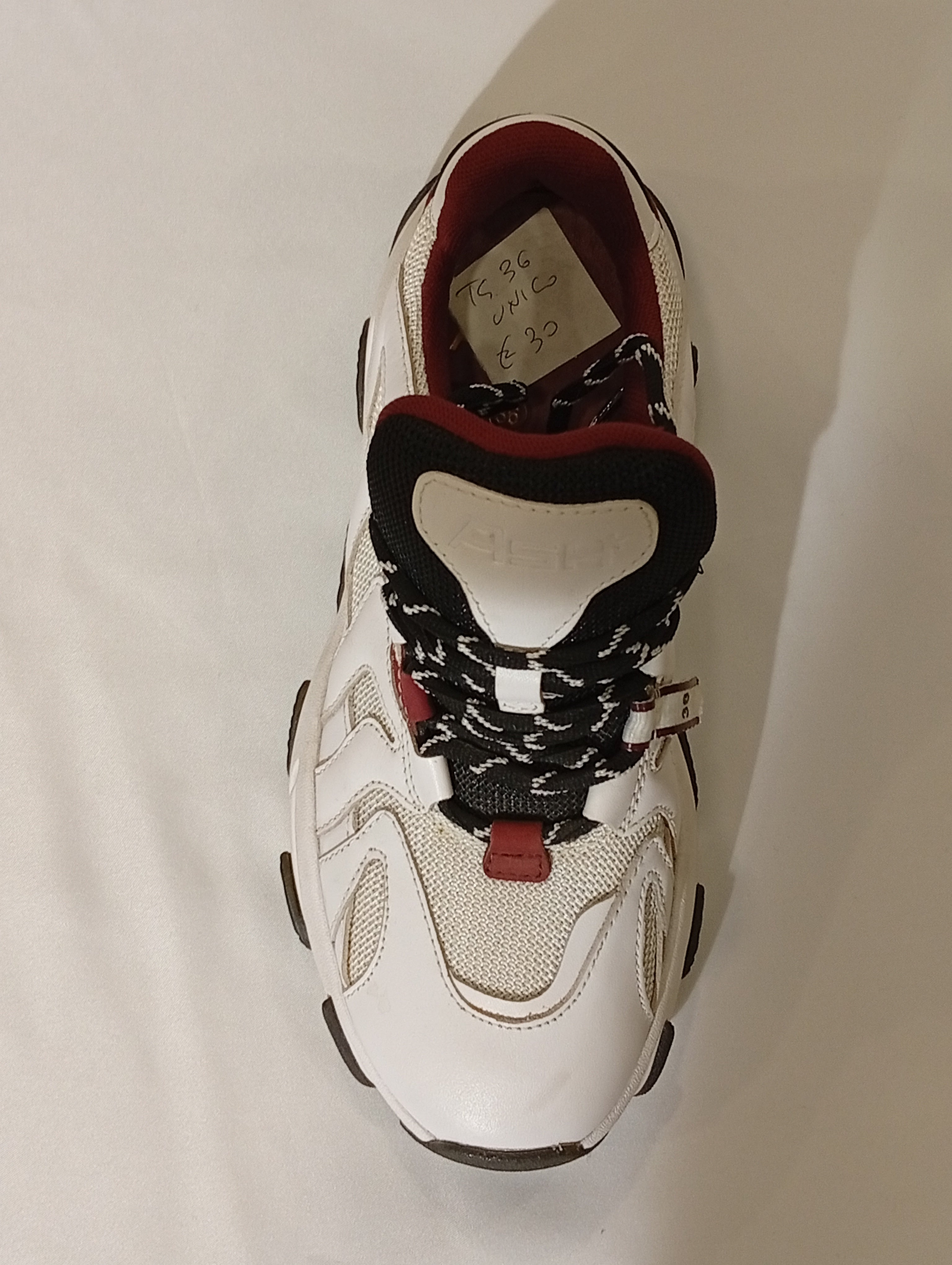 Sneakers ASH